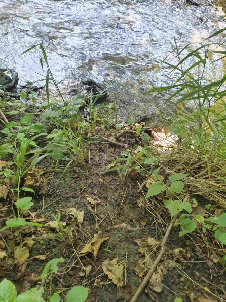 PA_AT_KOB_abovefootprintphoto_20220612110441026