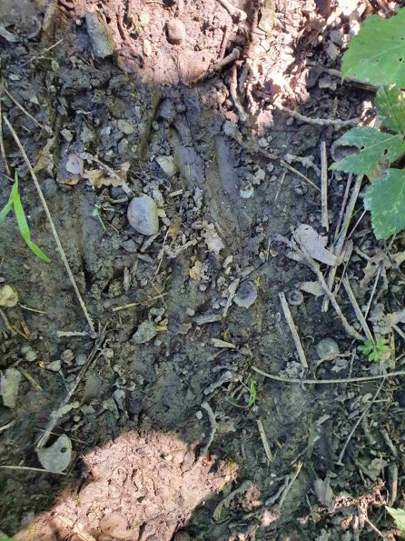 PA_AT_KOB_abovefootprintphoto_20220612112140470