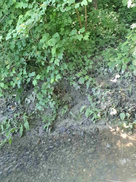 PA_AT_KOB_abovefootprintphoto_20220612114909319