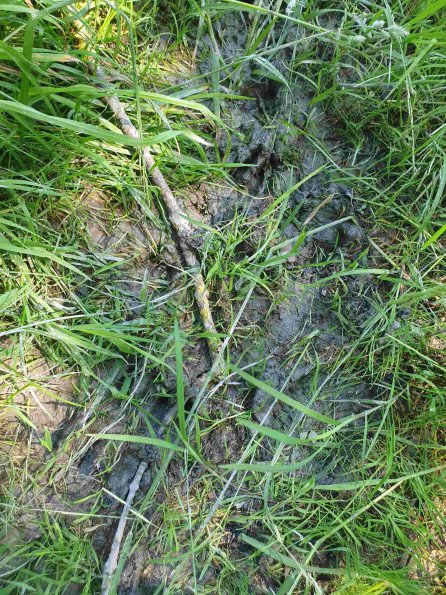 PA_AT_KOB_abovefootprintphoto_20220612120344451