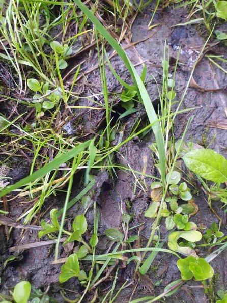 PA_AT_KOB_abovefootprintphoto_20220612131412083