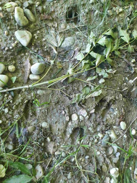 PA_AT_KOB_abovefootprintphoto_20220612131615723