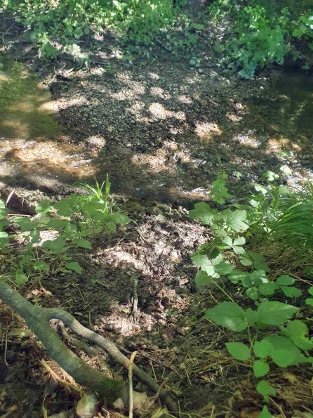 PA_AT_KOB_abovefootprintphoto_20220612131806210