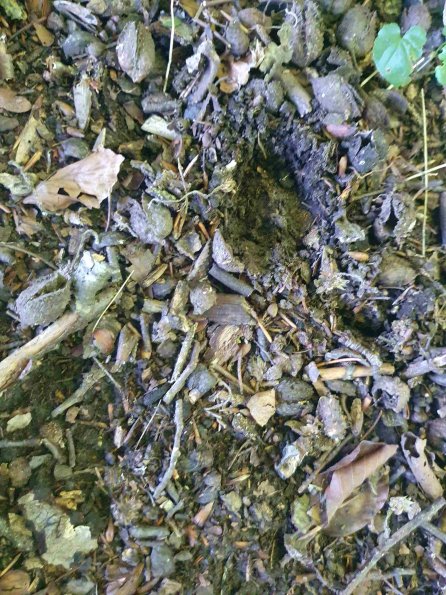 PA_AT_KOB_abovefootprintphoto_20220612132909892