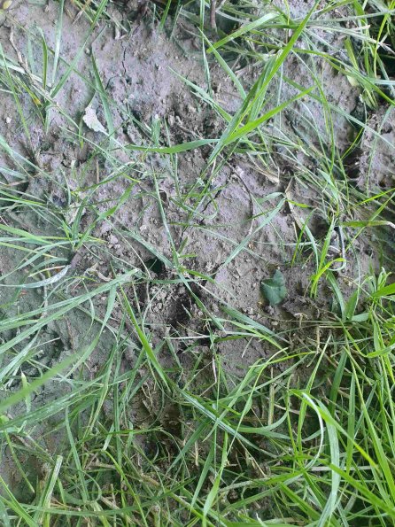 PA_AT_KOB_abovefootprintphoto_20220612133604804