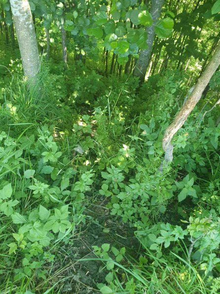 PA_AT_KOB_abovefootprintphoto_20220612134039733