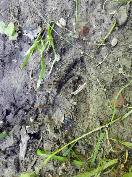 PA_AT_KOB_abovefootprintphoto_20220612134718906