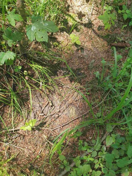 PA_AT_KOB_abovefootprintphoto_20220612140512935