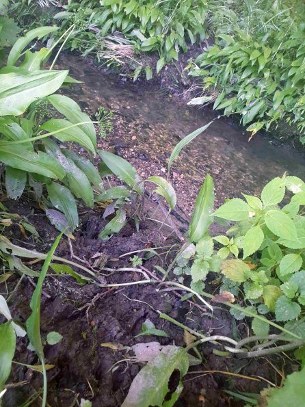 PA_AT_KOB_abovefootprintphoto_20220612150139993