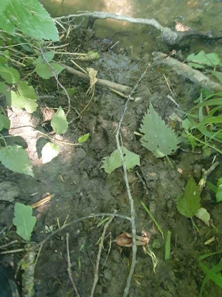 PA_AT_KOB_abovefootprintphoto_20220612151236106