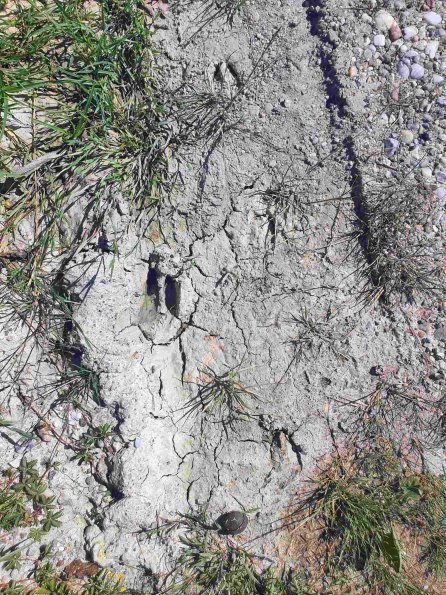 PA_AT_KOB_abovefootprintphoto_20220612153401523