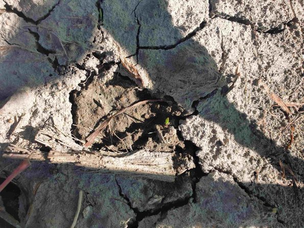 PA_AT_KOB_abovefootprintphoto_20220612164924586