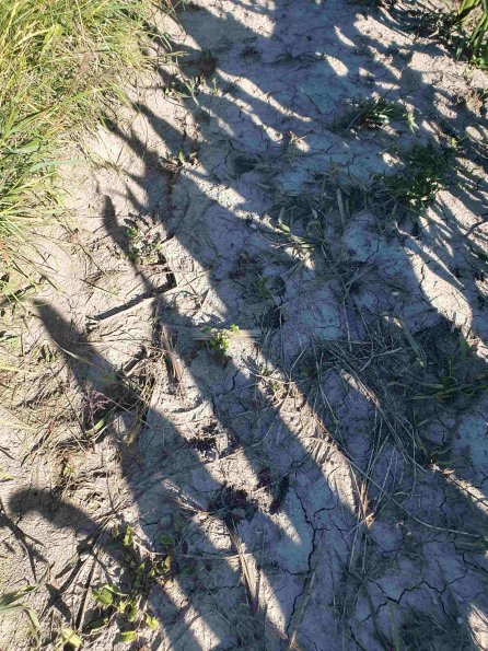 PA_AT_KOB_abovefootprintphoto_20220612165639072