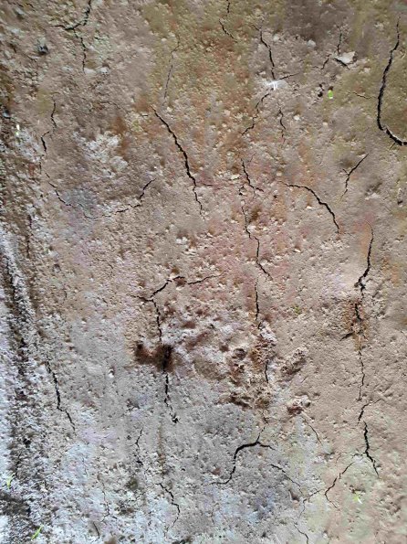 PA_AT_KOB_abovefootprintphoto_20220612170150478