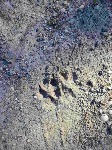 PA_AT_KOB_abovefootprintphoto_20220612170414612