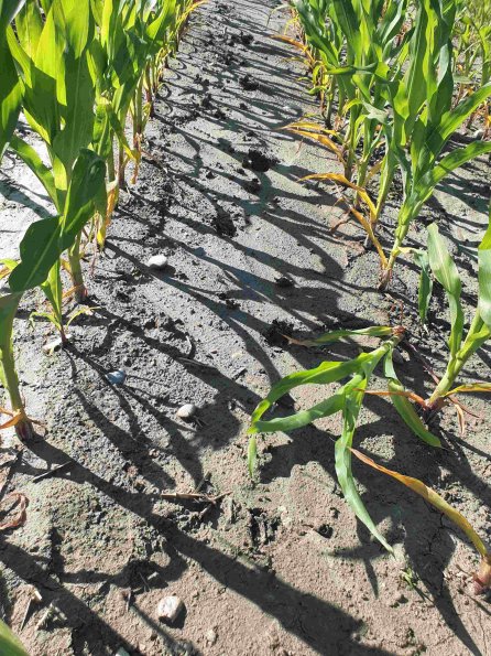 PA_AT_KOB_abovefootprintphoto_20220612170608718