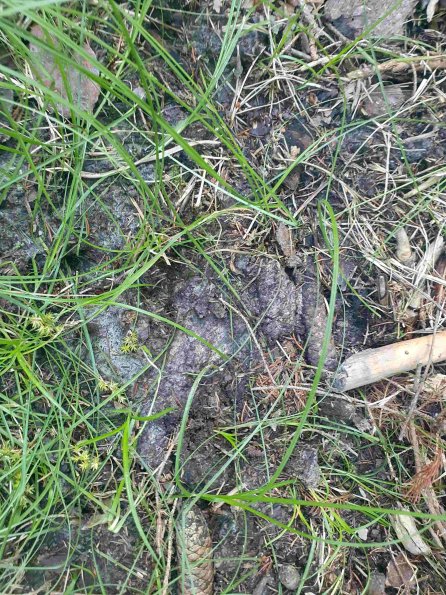 PA_AT_KOB_abovefootprintphoto_20220612184426682