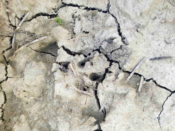 PA_AT_KOB_abovefootprintphoto_20220612193603011