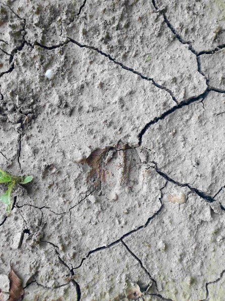 PA_AT_KOB_abovefootprintphoto_20220612202504667