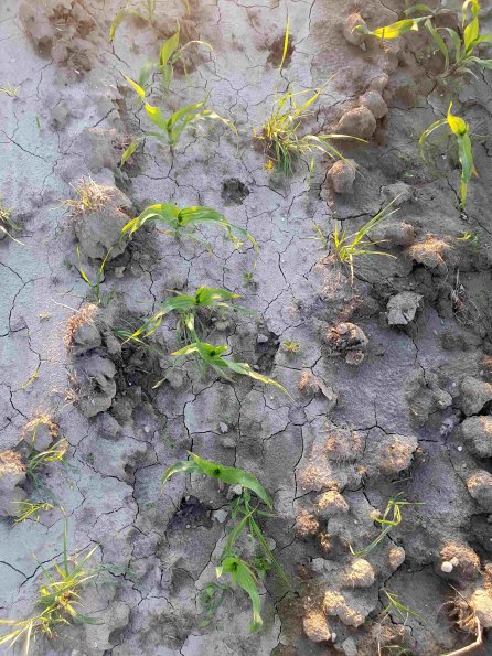 PA_AT_KOB_abovefootprintphoto_20220612203405241