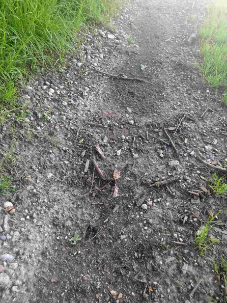 PA_AT_KOB_abovefootprintphoto_20220612203806505