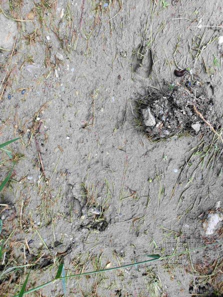 PA_AT_KOB_abovefootprintphoto_20220613130810329