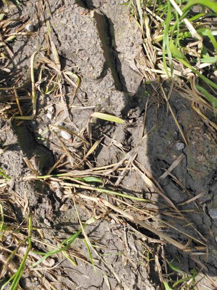 PA_AT_KOB_abovefootprintphoto_20220613131601556