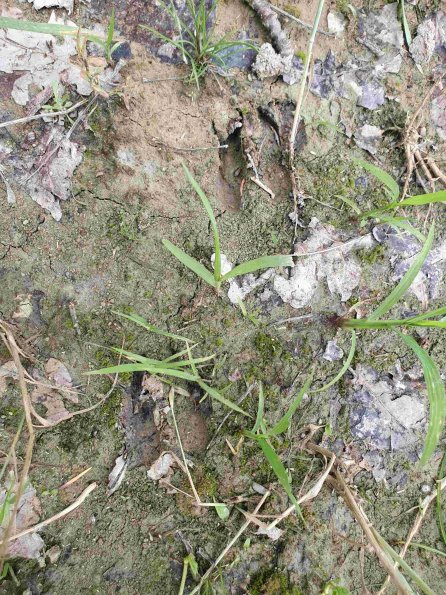 PA_AT_KOB_abovefootprintphoto_20220613132828755