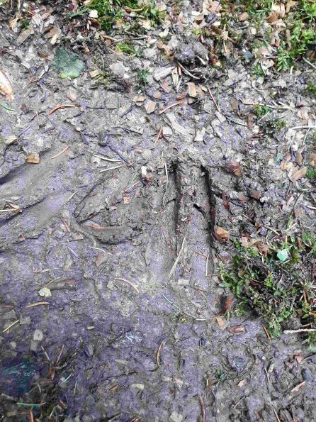 PA_AT_KOB_abovefootprintphoto_20220613133633359