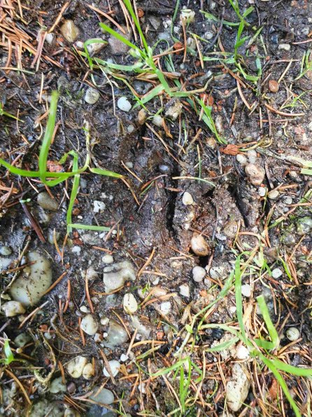 PA_AT_KOB_abovefootprintphoto_20220613135130324