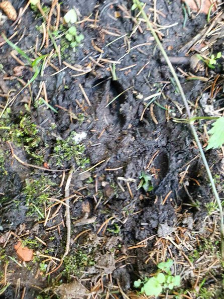 PA_AT_KOB_abovefootprintphoto_20220613143750208