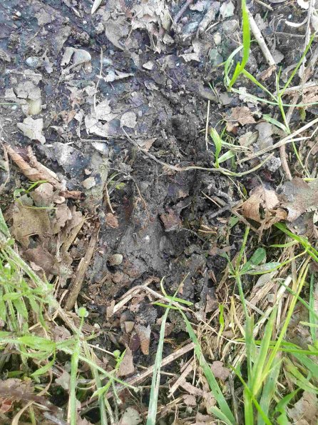 PA_AT_KOB_abovefootprintphoto_20220613153838903