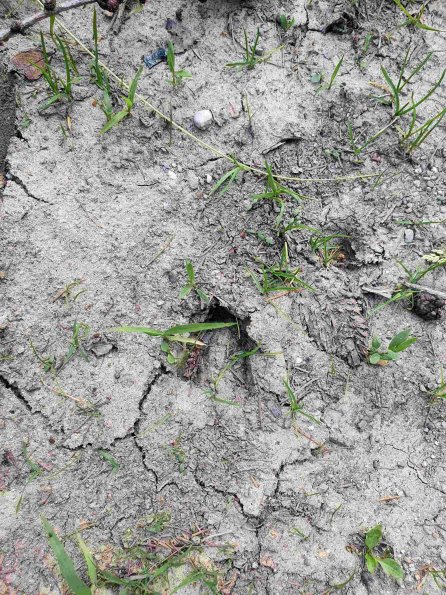 PA_AT_KOB_abovefootprintphoto_20220613154625443