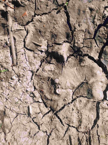 PA_AT_KOB_abovefootprintphoto_20220613165933799