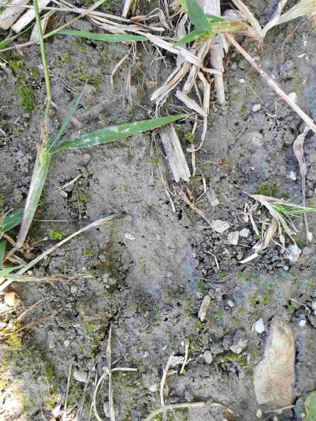 PA_AT_KOB_abovefootprintphoto_20220906155409454