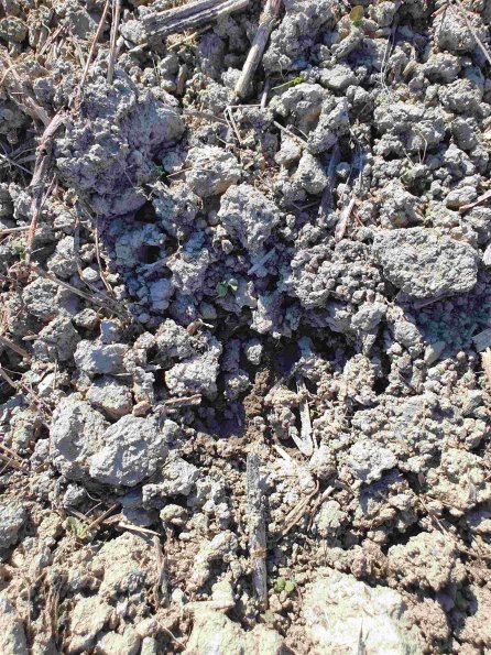 PA_AT_KOB_abovefootprintphoto_20220906155724511