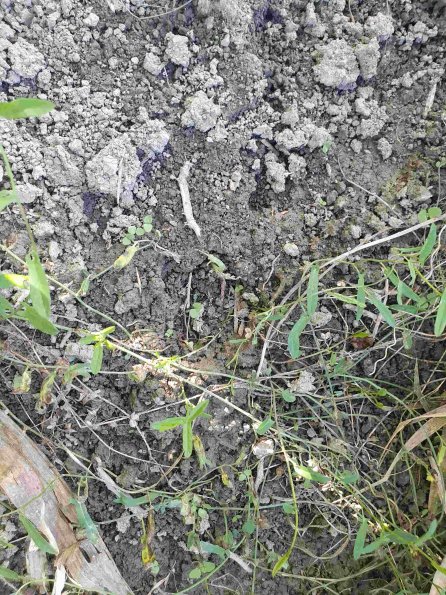 PA_AT_KOB_abovefootprintphoto_20220906163647397