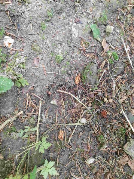 PA_AT_KOB_abovefootprintphoto_20220907100558011