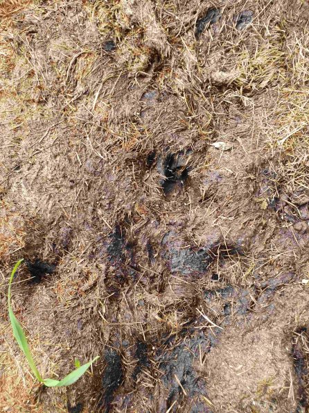 PA_AT_KOB_abovefootprintphoto_20220907101918427