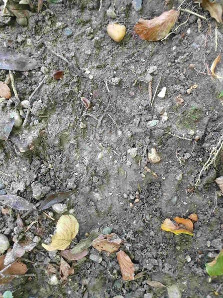 PA_AT_KOB_abovefootprintphoto_20220907103334906