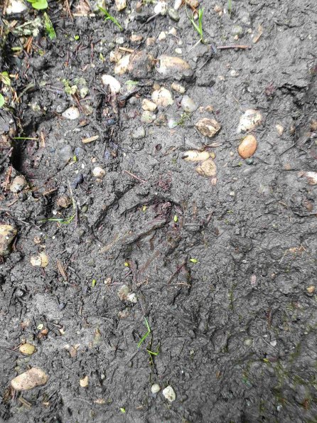 PA_AT_KOB_abovefootprintphoto_20220907115826305