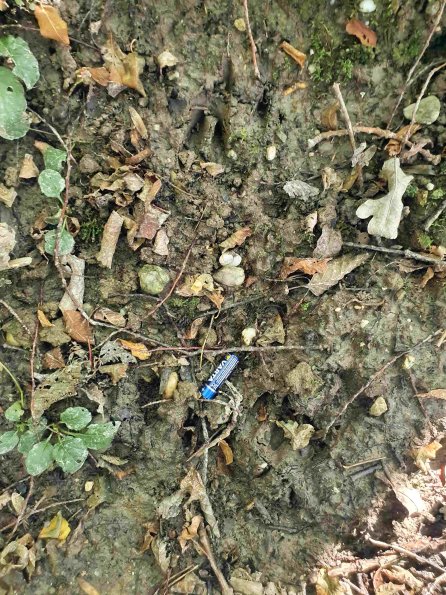 PA_AT_KOB_abovefootprintphoto_20220907121903730