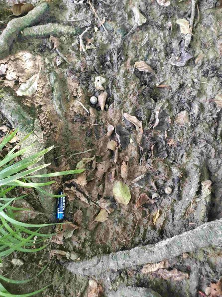 PA_AT_KOB_abovefootprintphoto_20220907123444733