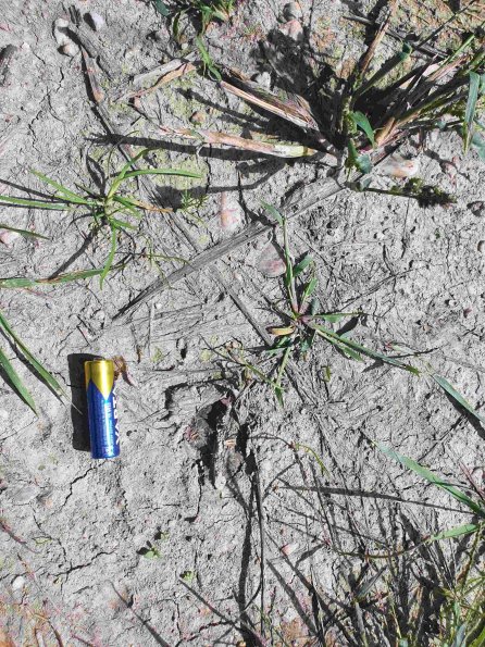 PA_AT_KOB_abovefootprintphoto_20220907132406325