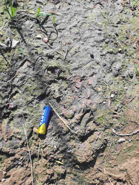 PA_AT_KOB_abovefootprintphoto_20220907133338768