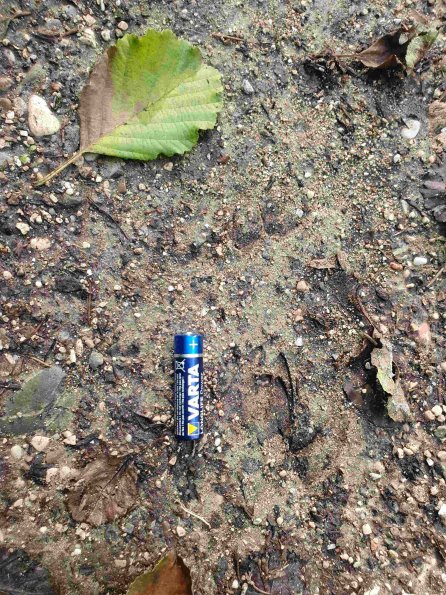 PA_AT_KOB_abovefootprintphoto_20220907172020368