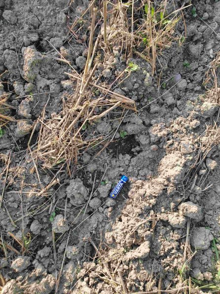 PA_AT_KOB_abovefootprintphoto_20220907181230458