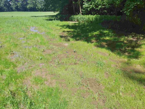 PA_AT_KOB_lc-element-photo_20220612134400246