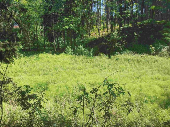 PA_AT_KOB_lc-element-photo_20220612140259636