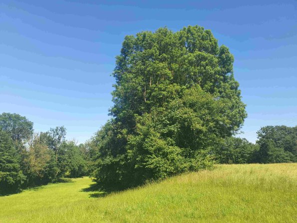 PA_AT_KOB_lc-element-photo_20220612152521214